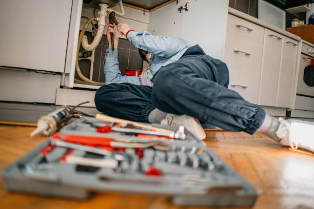 Best 24-Hour Plumber Near Me  in Athens, MI