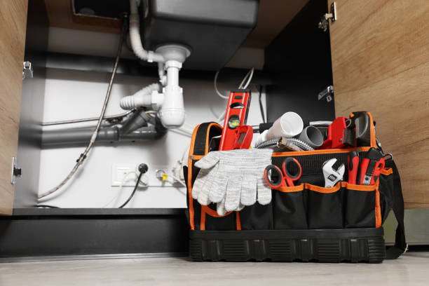 Best Clogged Drain Plumber  in Athens, MI
